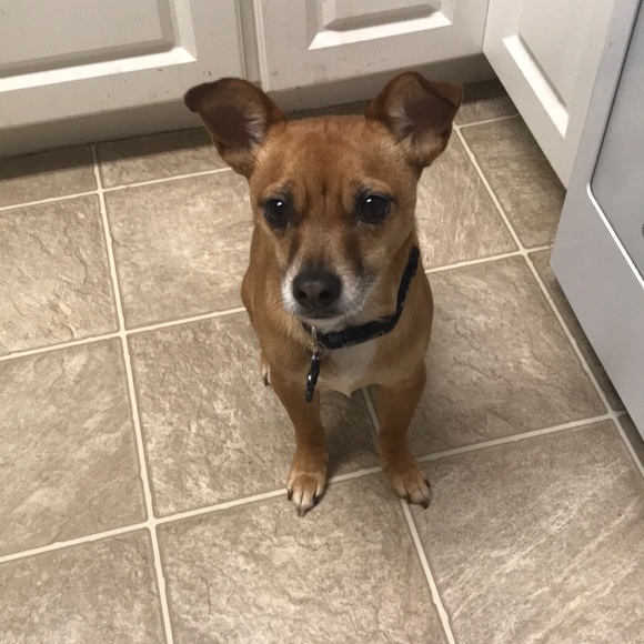 Meet your Posher, Christina - Picture 1 of 1